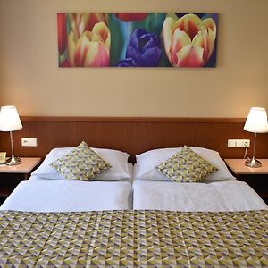 Suite met een Slaapkamer